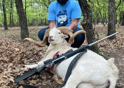 Texas Dall Sheep Hunt