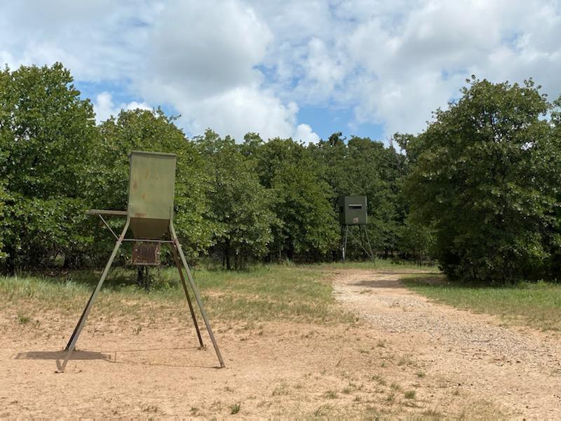 Hog Hunting Blind