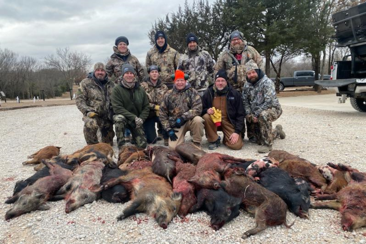 Oklahoma Hog Hunt