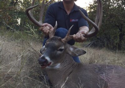 Whitetail Deer Hunt Oklahoma