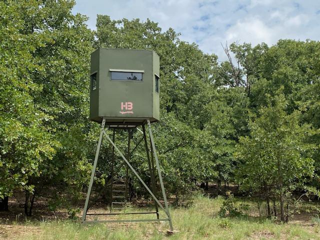 Whitetail Box Blind