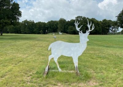 Whitetail Steel Target Shooting