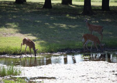 Side X Side Ranch Pond