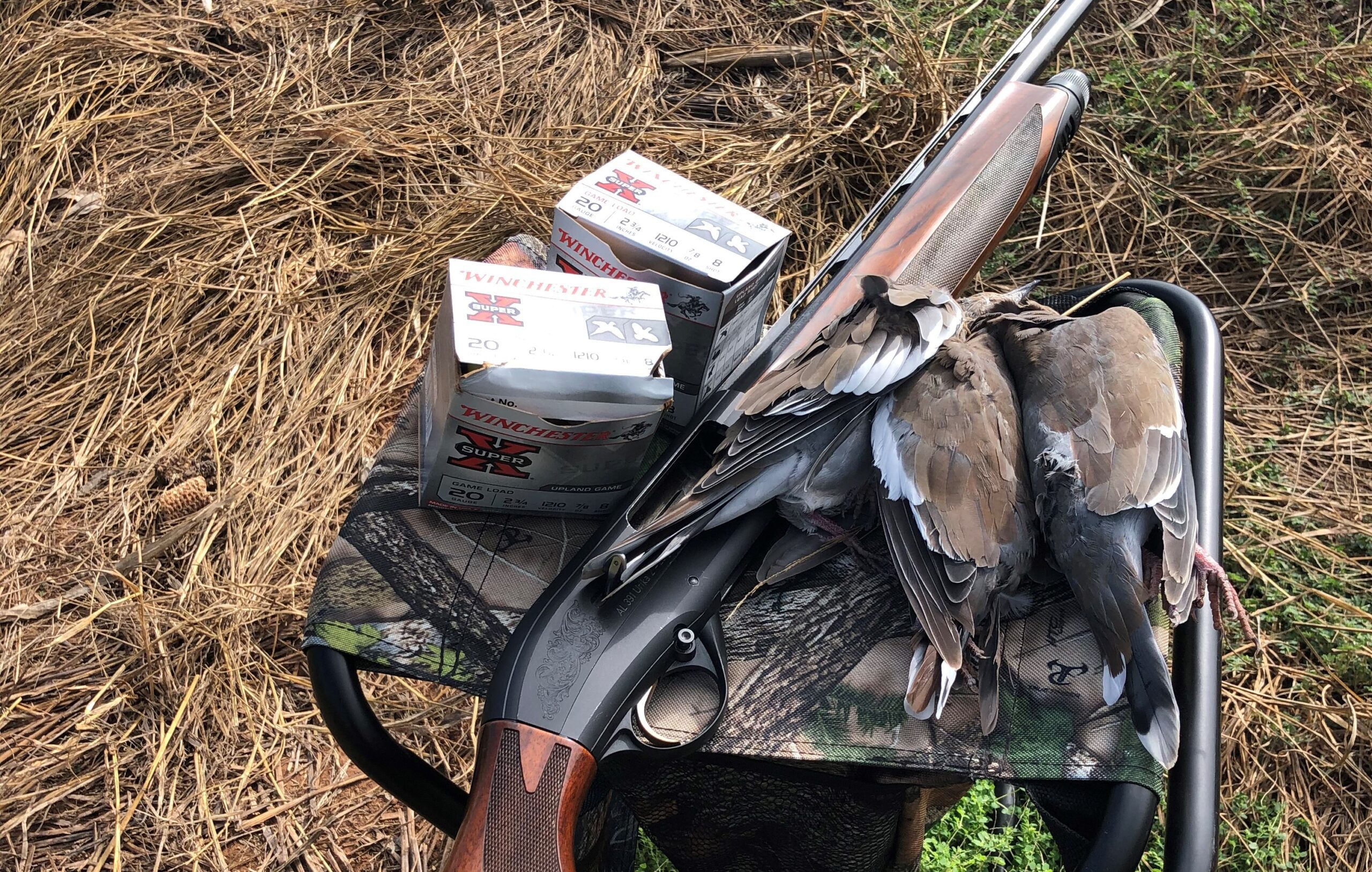 Upland Bird Hunting